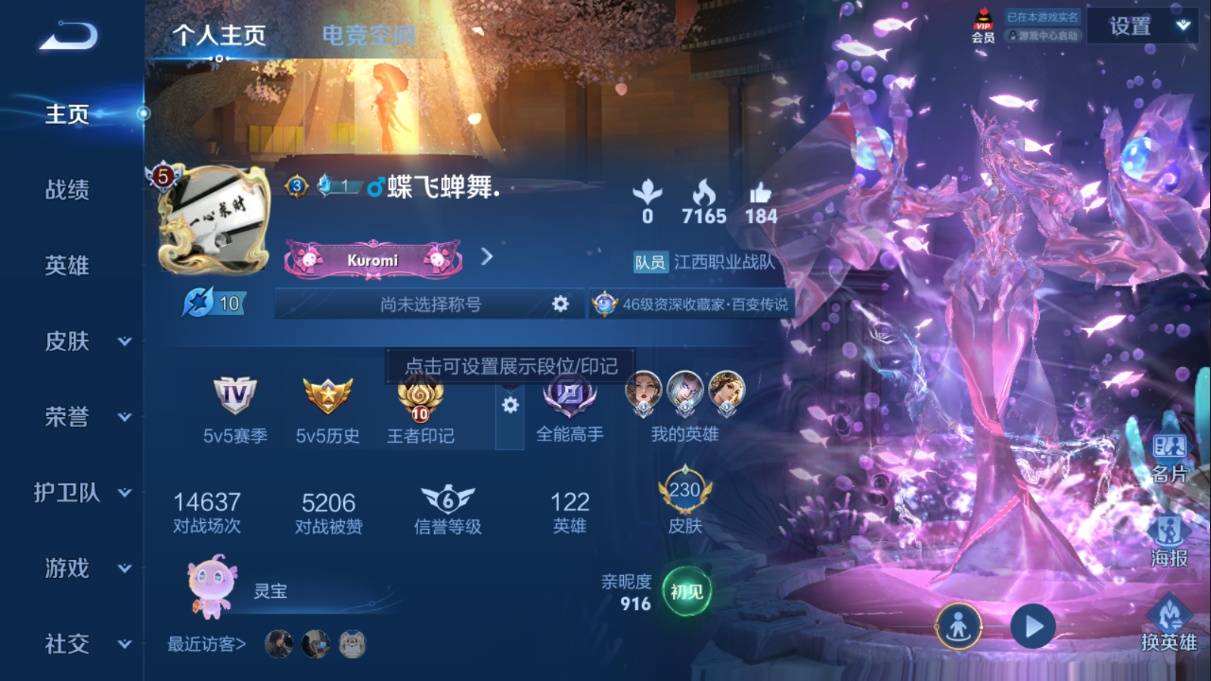 WZKG337405王者荣耀账号详情图3 WZKG337405王者荣耀账号详情图3