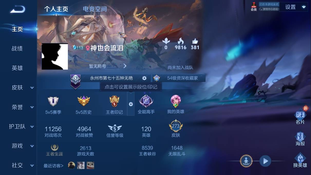 WZKG3108237王者荣耀账号详情图3