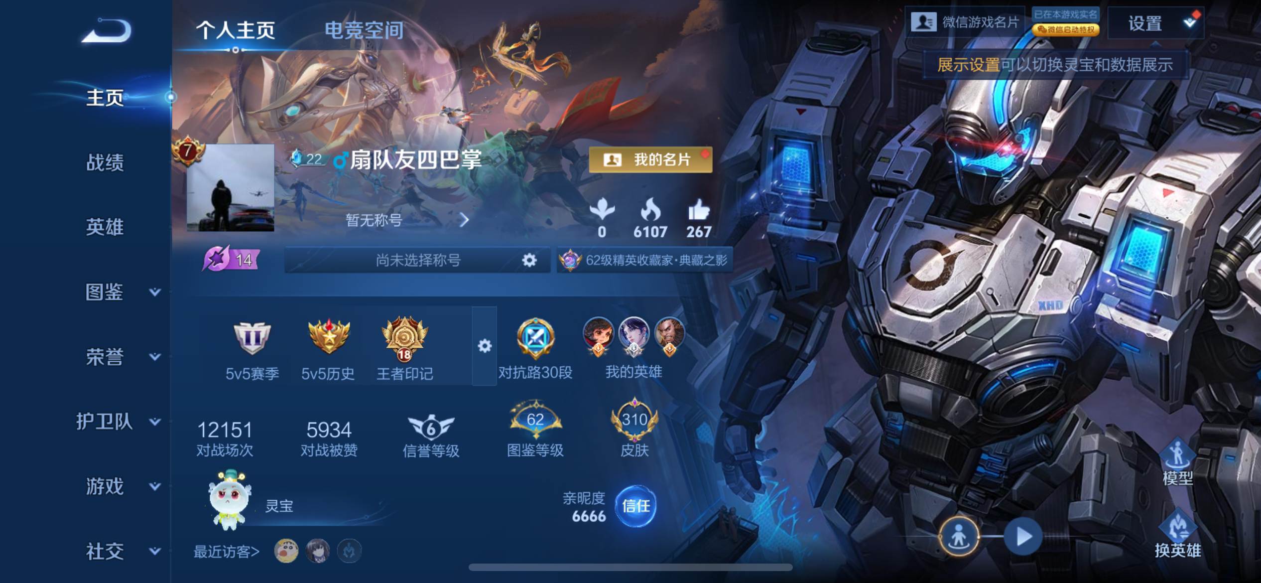 王者荣耀账号苹果VX124英雄-310皮肤-荣耀典藏2-传说品质8-史诗品质61无限飓风号-活力突击-山海琳琅生-金乌负