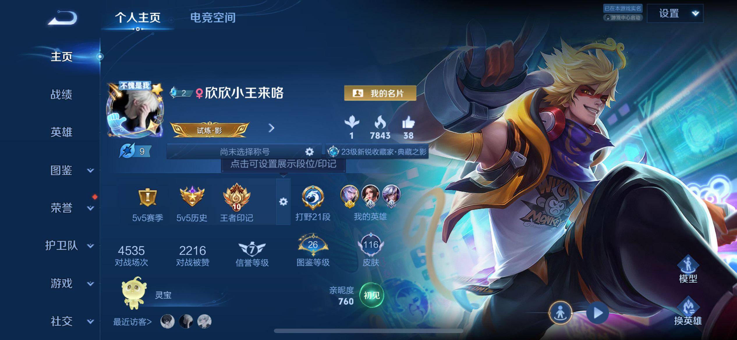 王者荣耀账号苹果QQ119英雄-116皮肤-荣耀典藏1-传说品质2-史诗品质27全息碎影-愿照·九州拓-鸣野蒿-功夫厨神