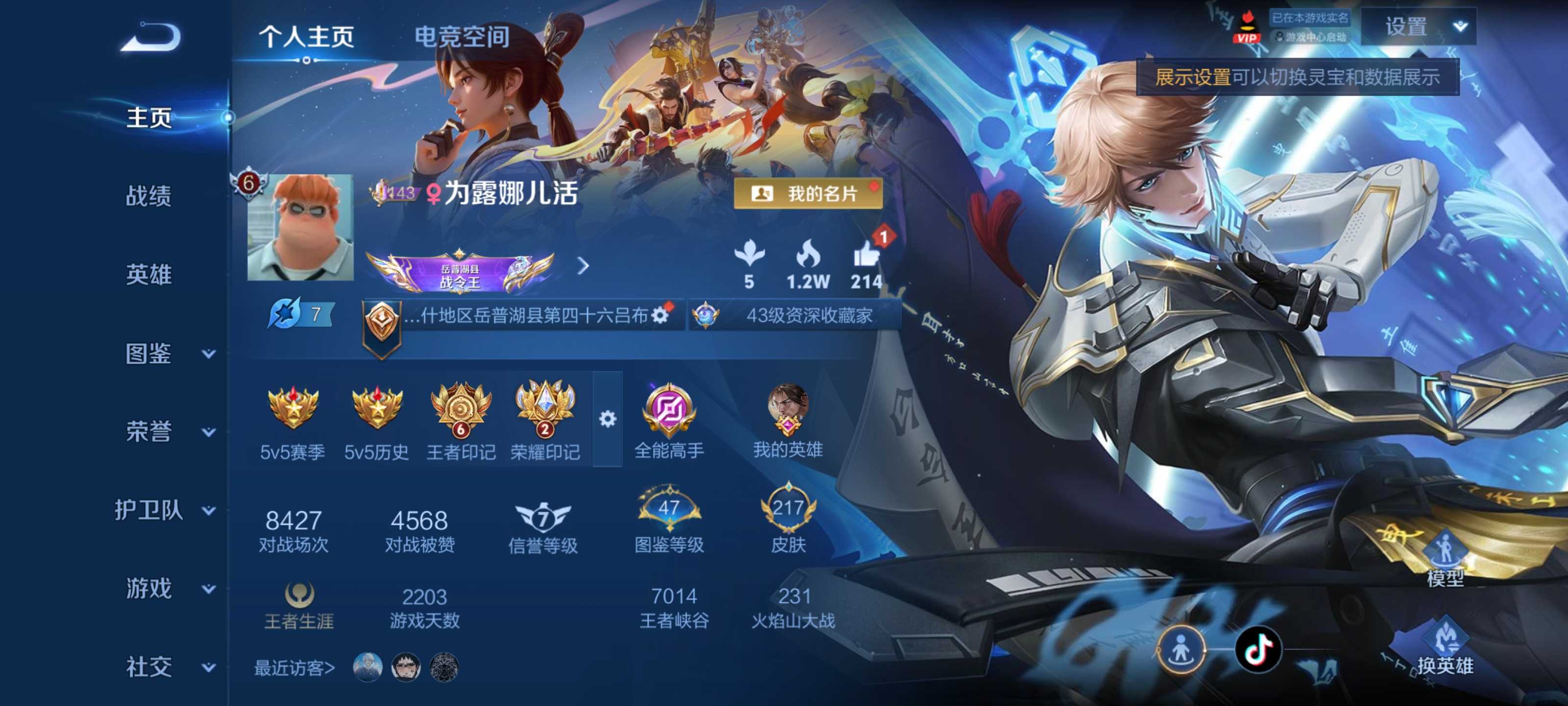 王者荣耀账号安卓QQ124英雄-217皮肤-荣耀典藏1-传说品质5-史诗品质43鸣剑曳影-云鹰飞将-幻光神枪-愿照·九州